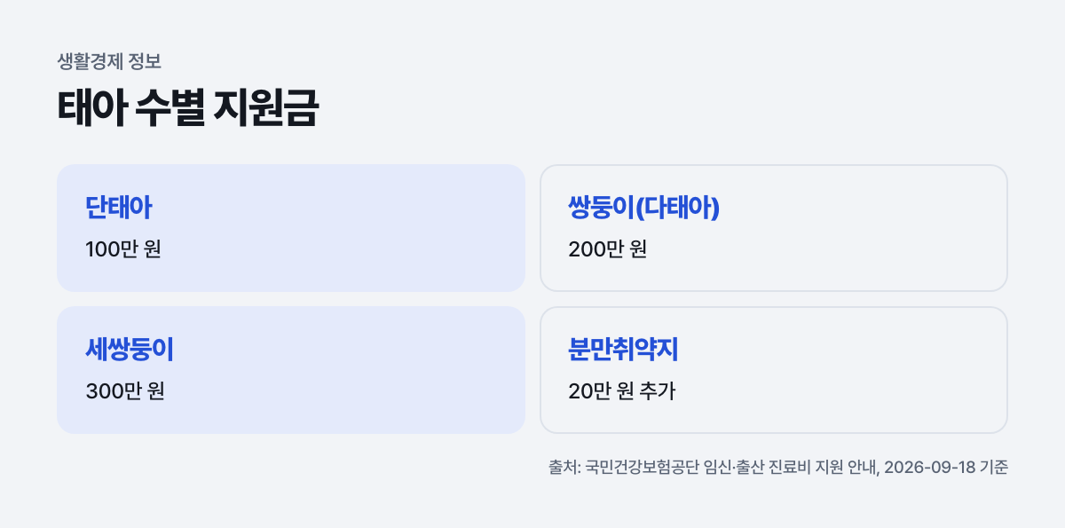 태아 수별 지원금