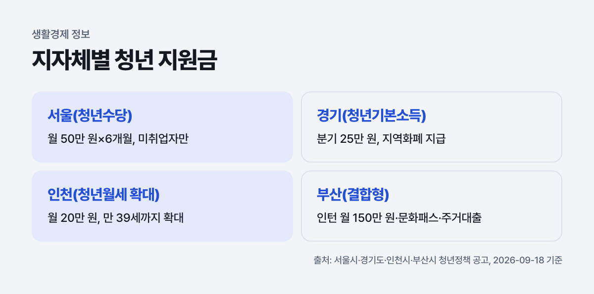 지자체별 청년 지원금